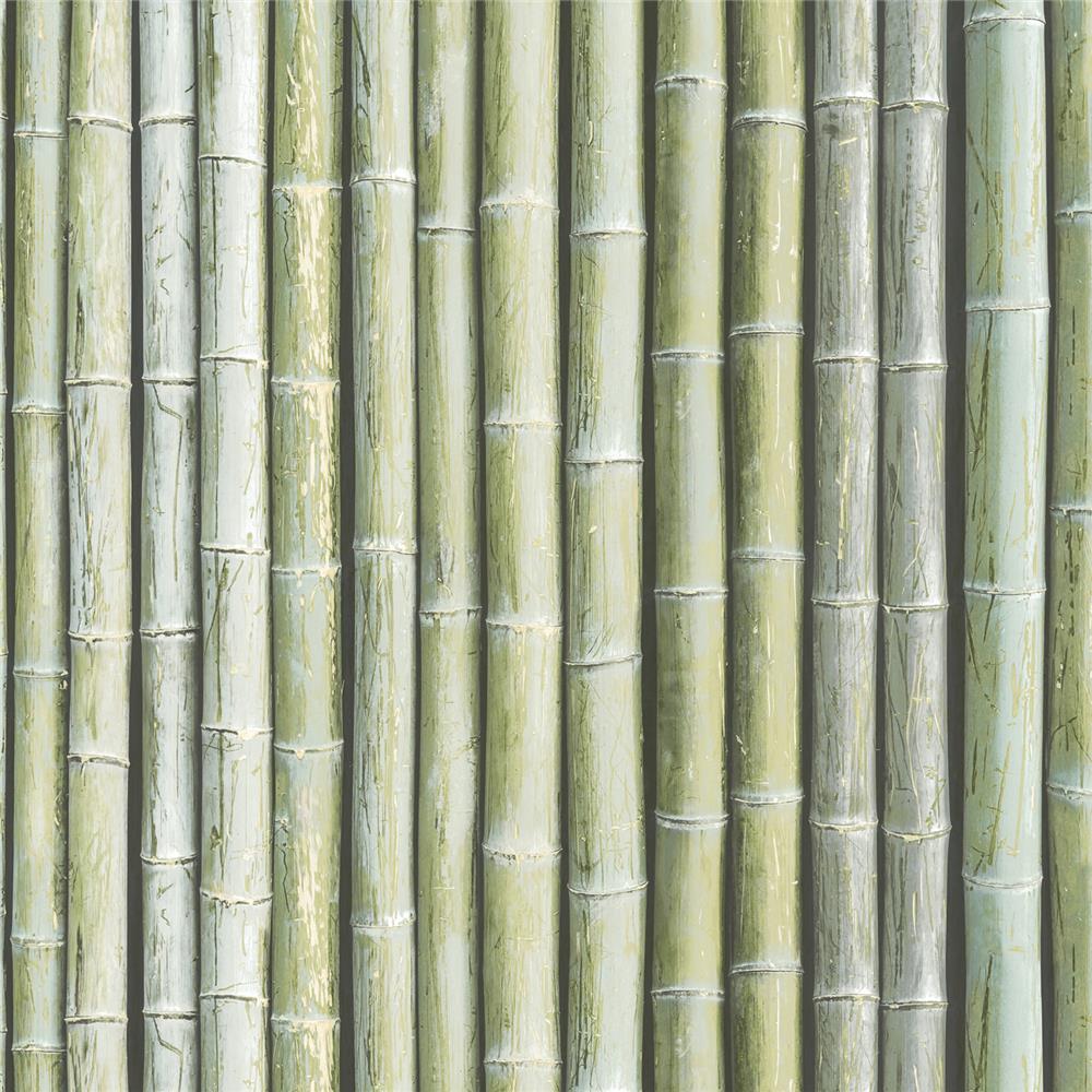 Patton Wallcoverings G67941 Organic Textures Bamboo Wallpaper